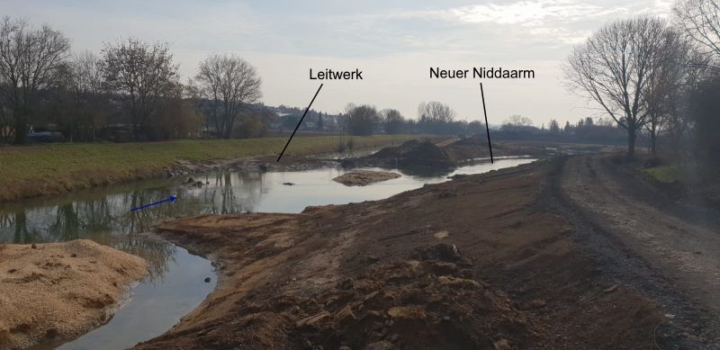 Beginn der Arbeiten zur Gestaltung des Leitwerkes zwischen der Nidda und dem neuen Niddaarm (rechter Bildrand).