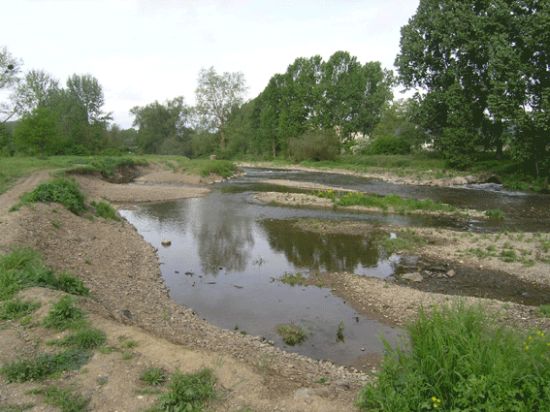Mündungsbereich der Ahr. Durch die Renaturierungsmaßnahme haben sich vielfältige Sohl- und Uferstrukturen entwickelt. 